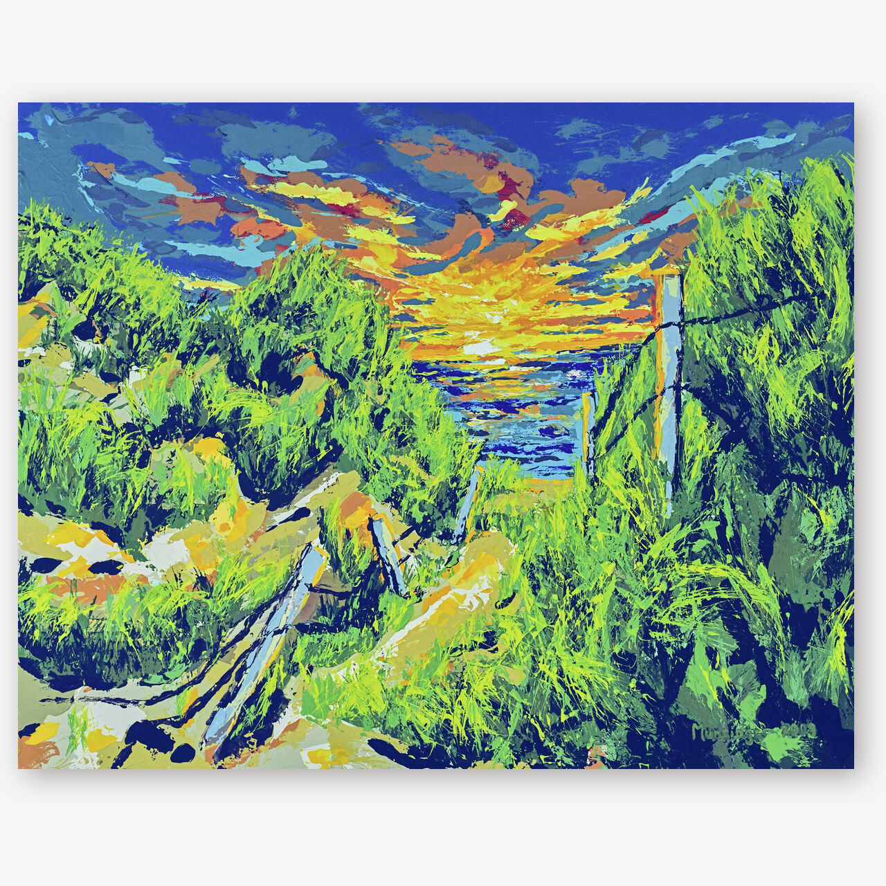 Sunset 7 | North County, San Diego