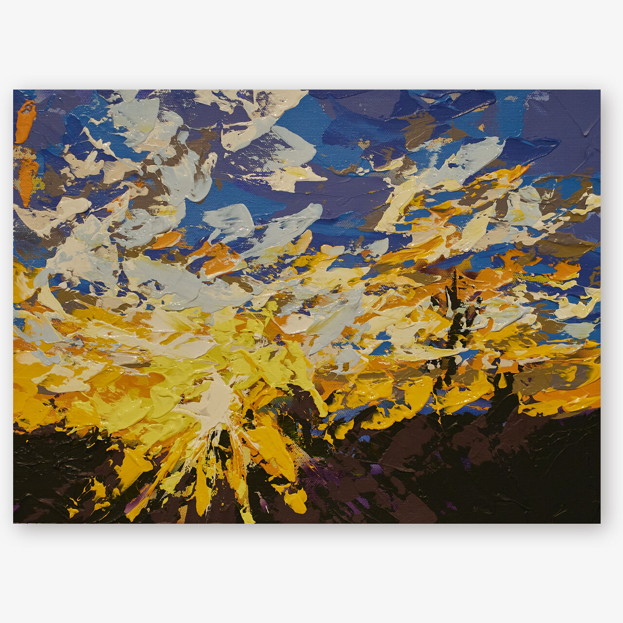 Sunset  | Sunset Douglas Preserve